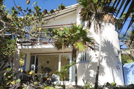 Las Ranitas Eco Boutique Hotel Tulum Exterior photo